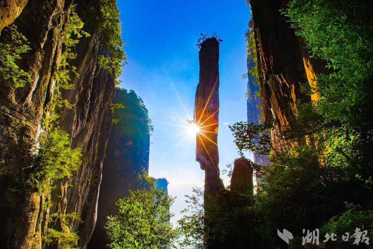 乐游棋牌官网模拟